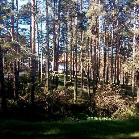 Apartment 9 Gorska Vila Zlatibor Buitenkant foto