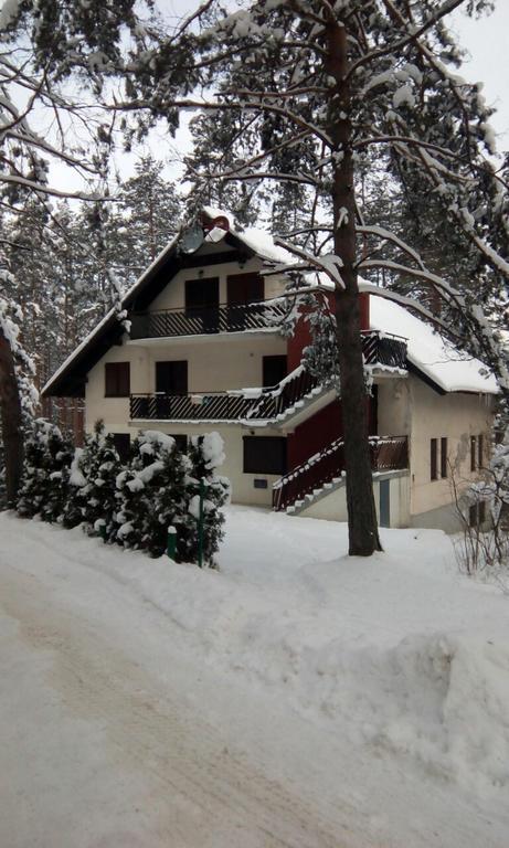Apartment 9 Gorska Vila Zlatibor Buitenkant foto